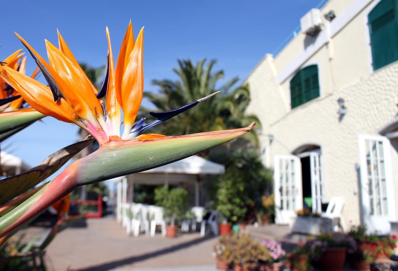 Albergo Ristorante Lucciola Santo Stefano al Mare Kültér fotó