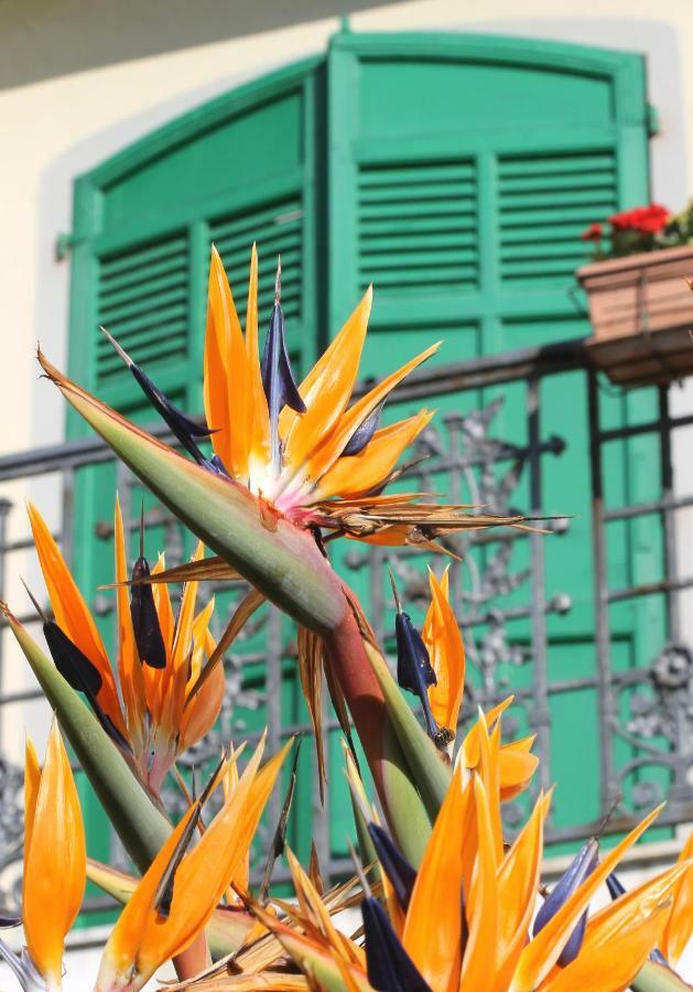 Albergo Ristorante Lucciola Santo Stefano al Mare Kültér fotó